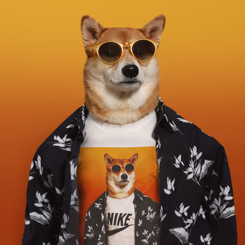 Mensweardog x Nike Capsule Collection Menswear Dog